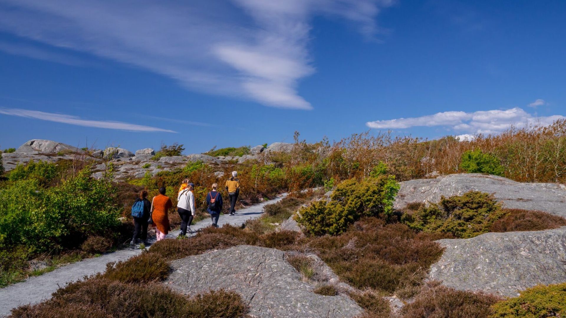 A group of people walk across rocky, scrubby coastal landscape under blue sky