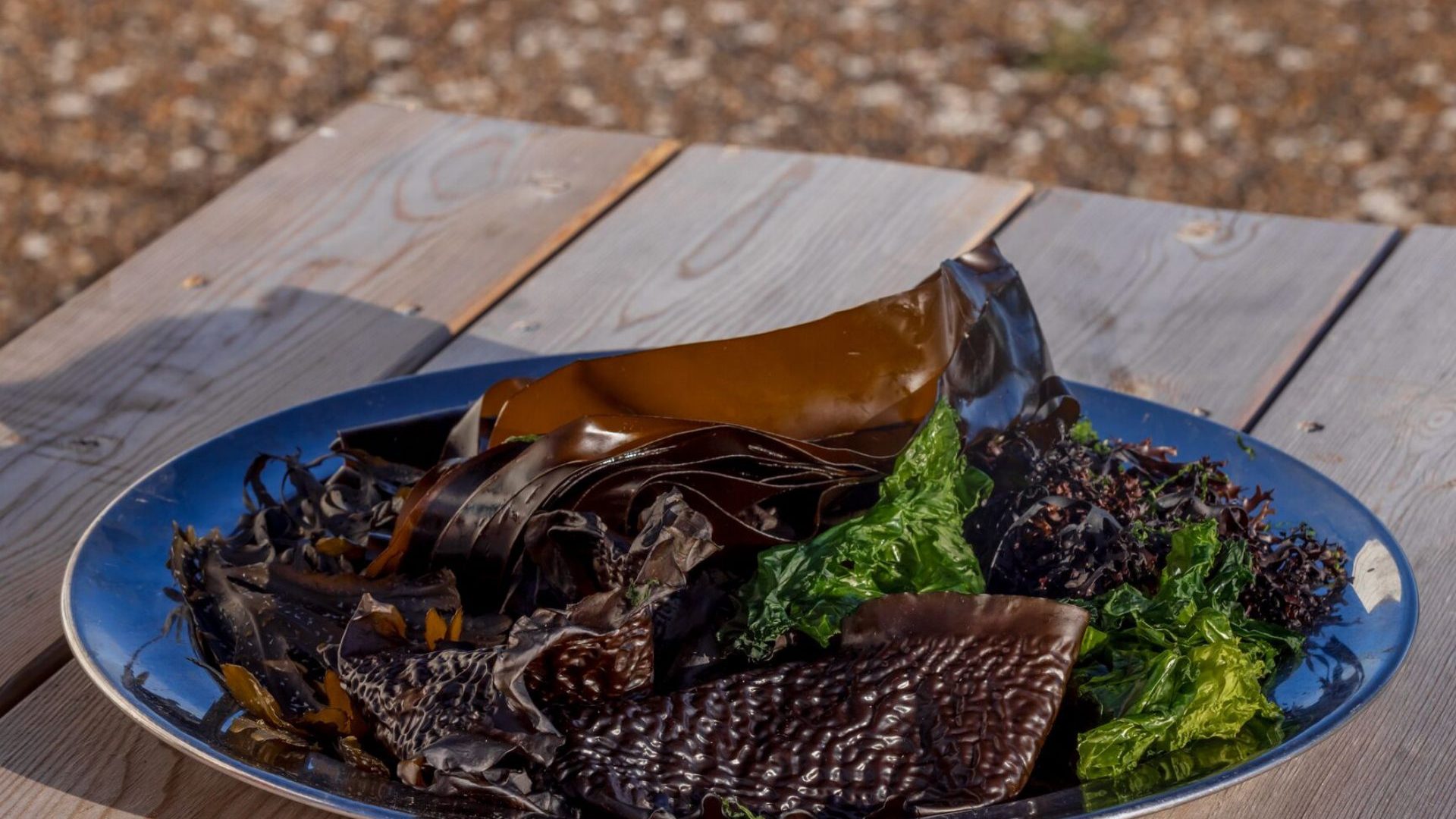 Blue plate with brown and green seaweed types.