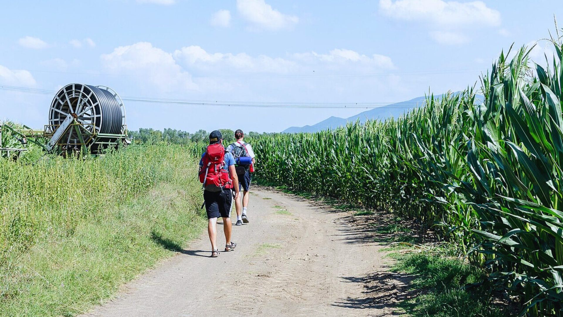 Two people walk down dirt road with green fields, green grass and water mill in background