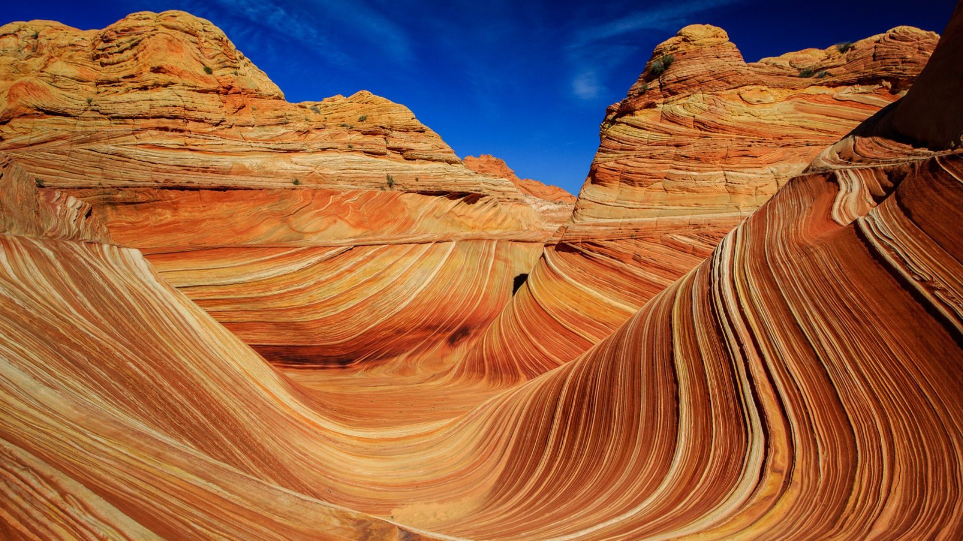 Rock with striped wave-like pattern