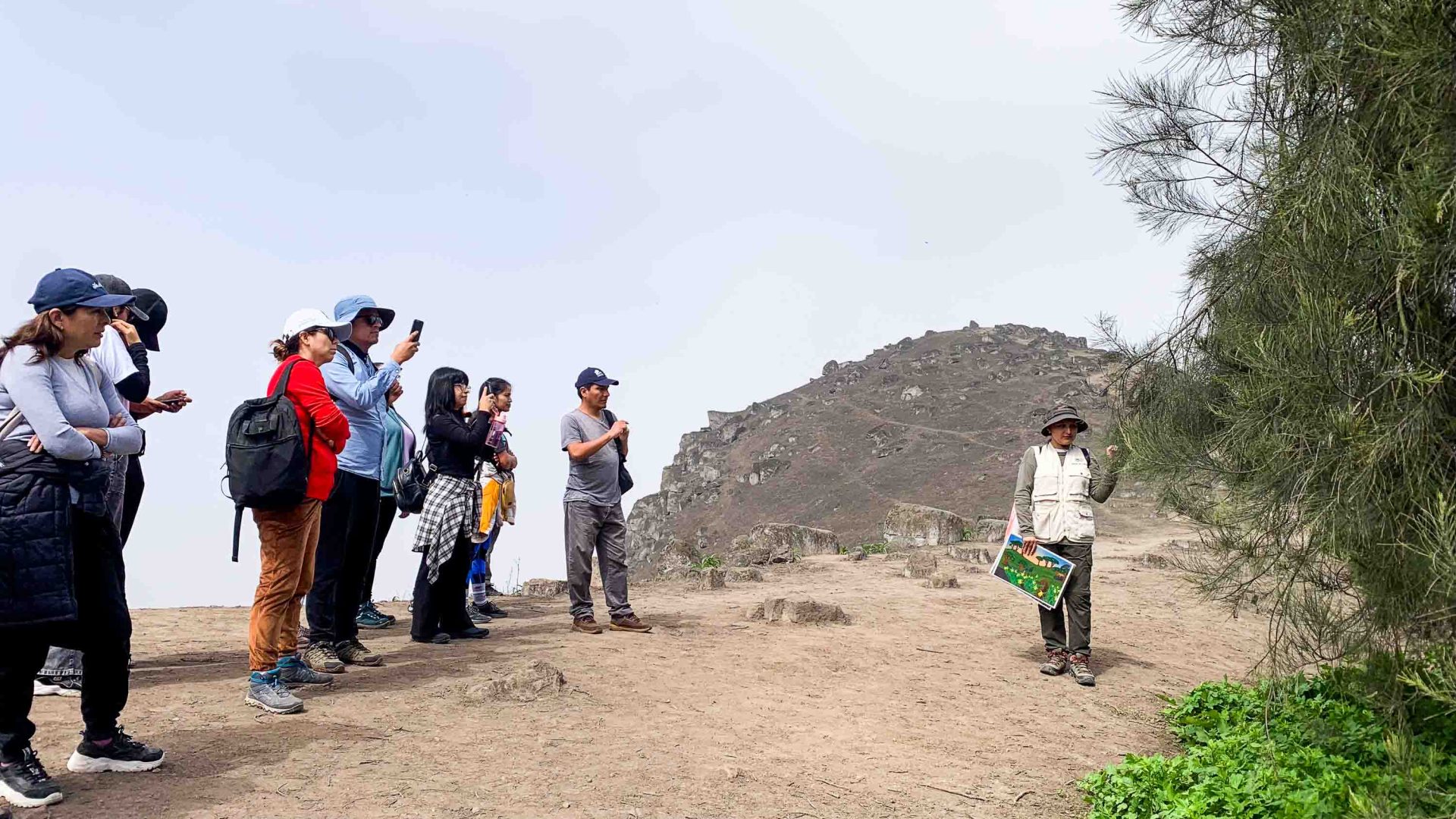 A group of tourists listens to a guide talk about a tree.