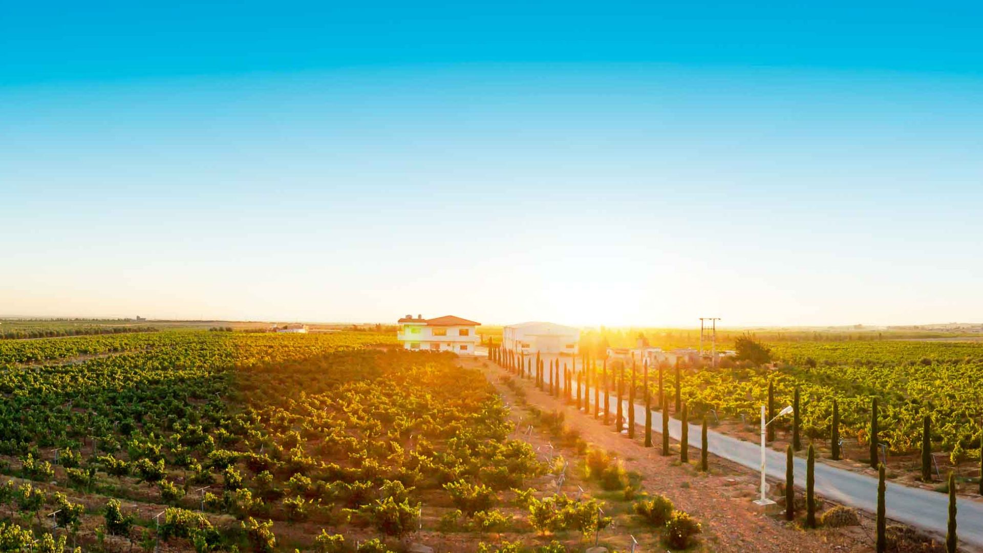 A sip of hope: In drought-stricken Jordan, the art of winemaking continues to flourish