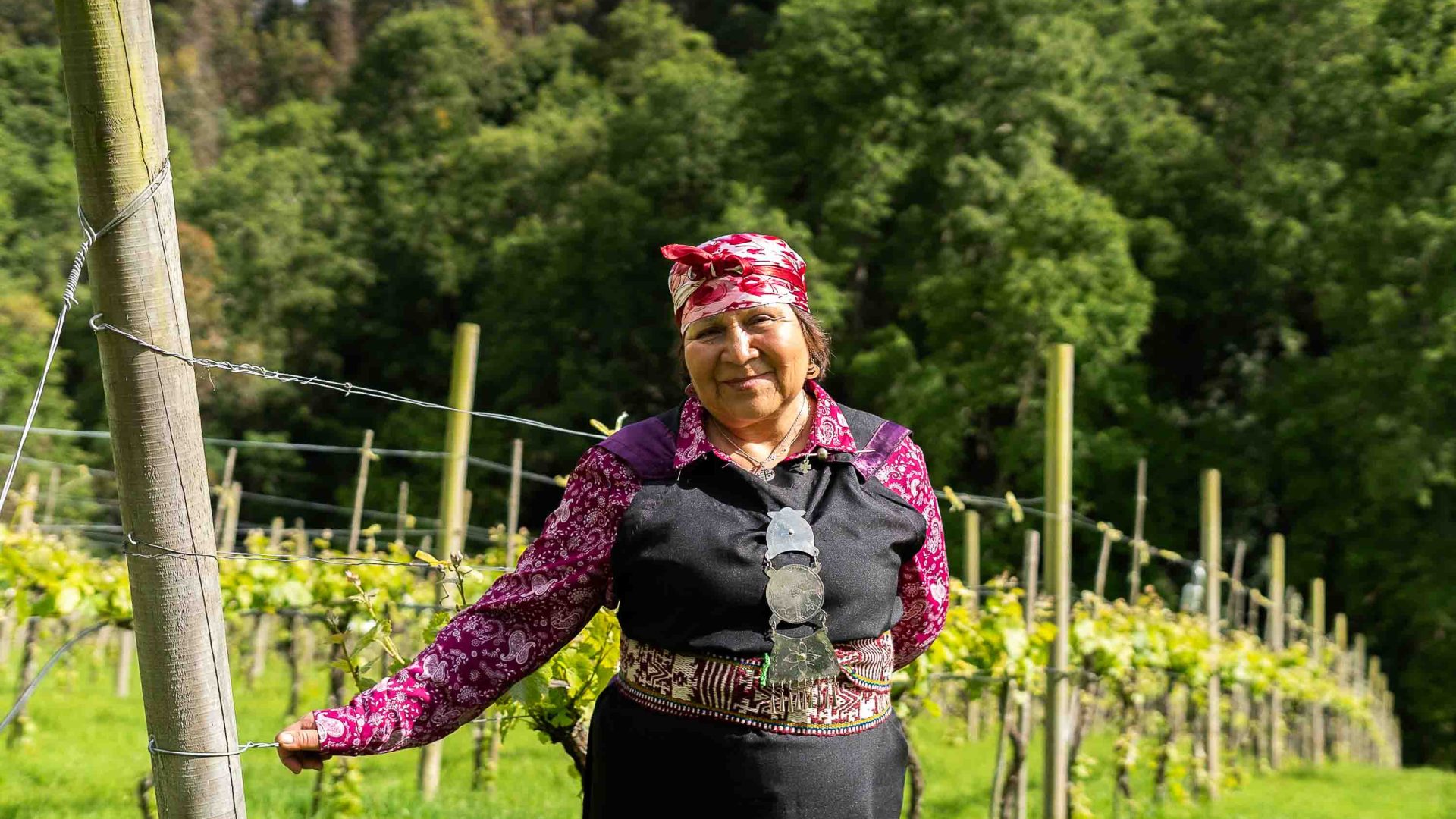 A woman in traditional Mapuche clothing leans against a row of grape vines.