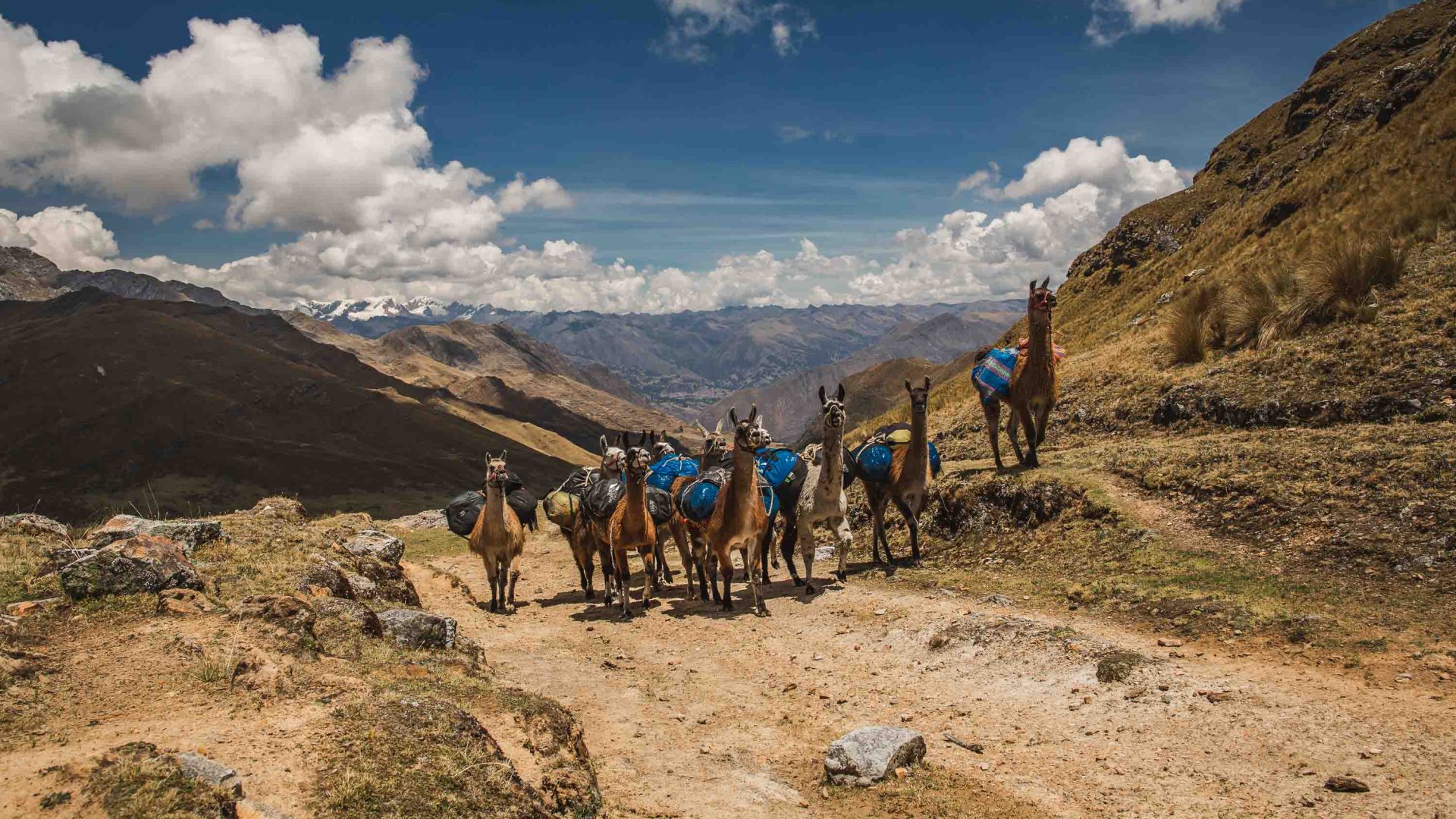 For hikers, this is one of the world’s best-preserved Inca roads. And no, it’s not the Inca Trail to Machu Picchu