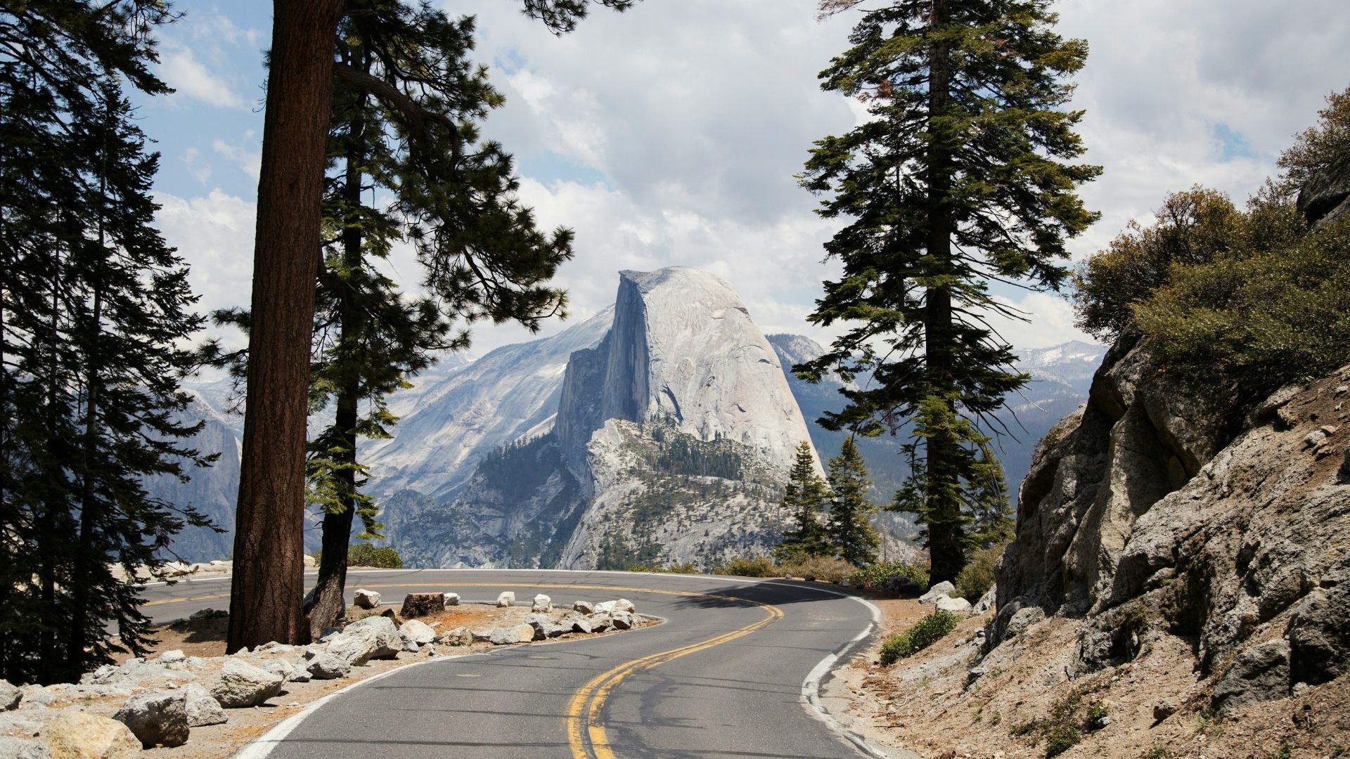 Road winds between trees with view to mountains
