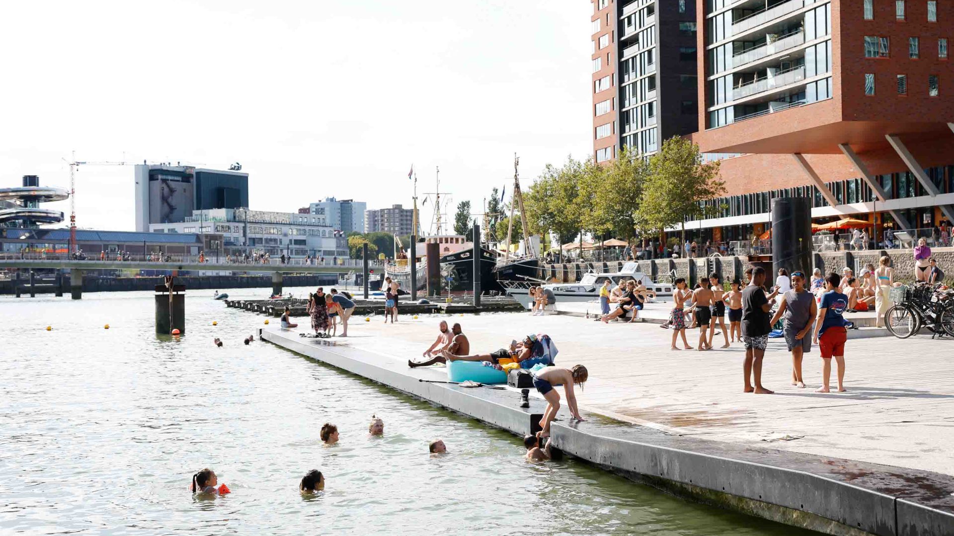 People enter and swim in a river.