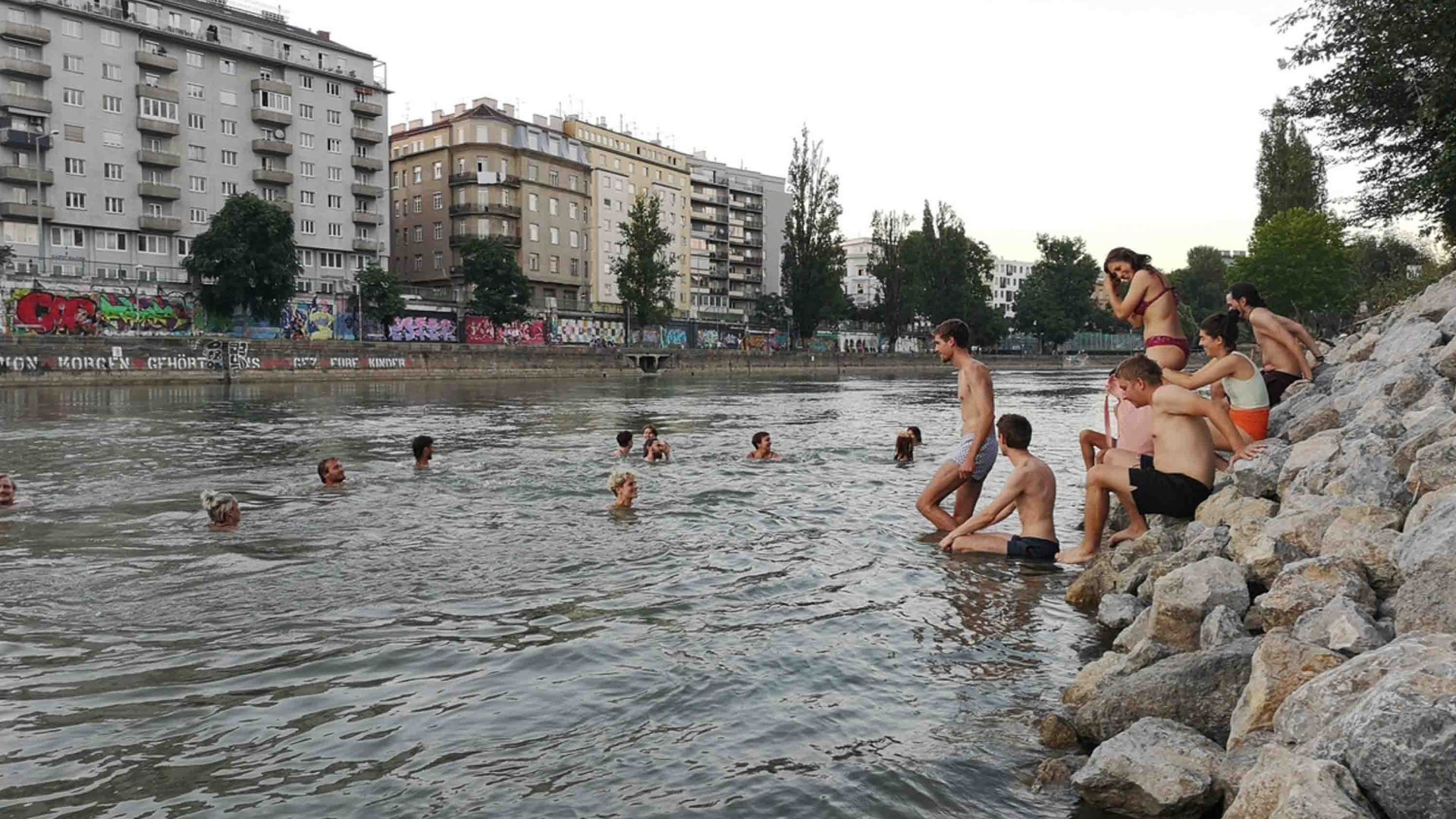 People enter and swim in a river.